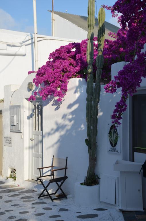 Ferienwohnung White And Grey Chora Mykonos Town Exterior foto